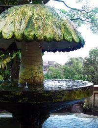 fountainofmoss